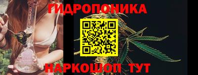 2c-b Новозыбков
