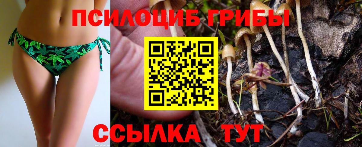 Псилоцибиновые грибы Cubensis  Вход с VPN  Галлюциногенные грибы Cubensis  Ульяновск 